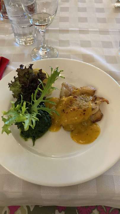 Gastro Seashell Vega