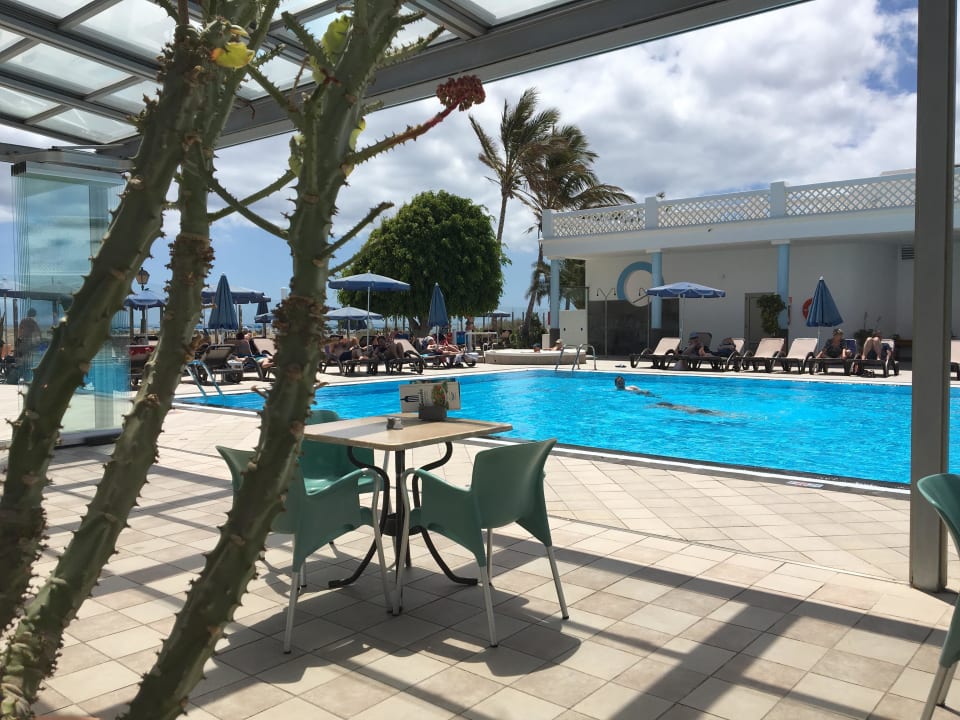 Poolbereich Hotel Las Costas