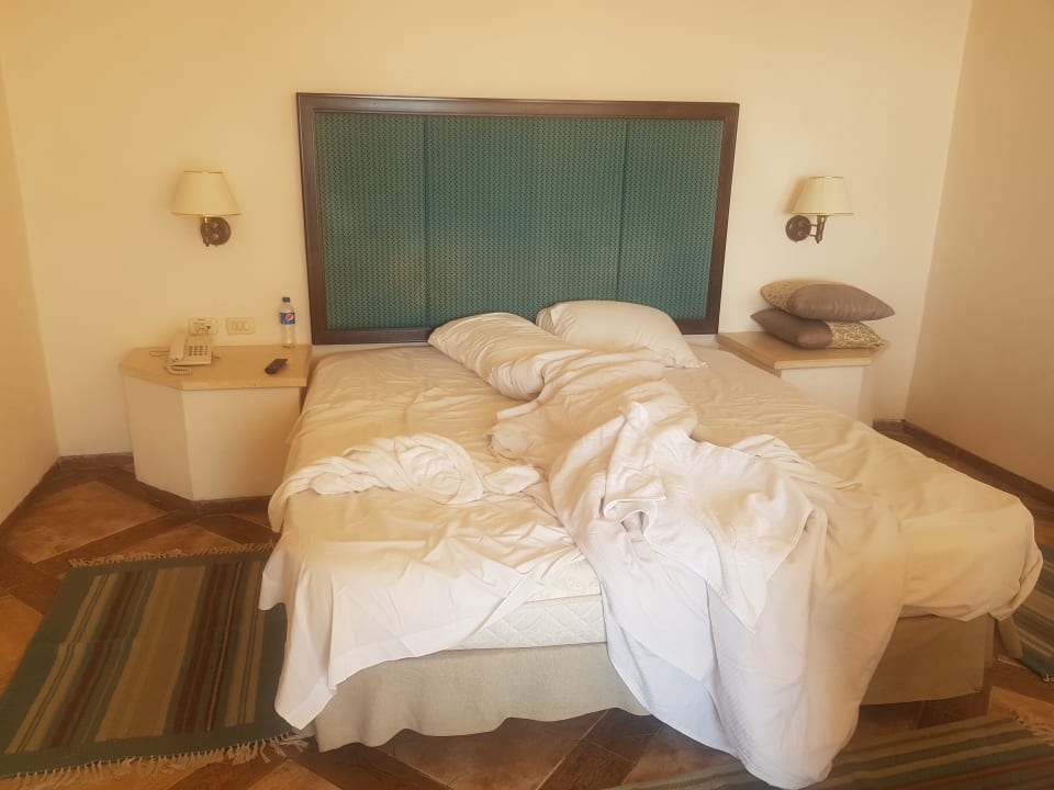 Zimmer Pickalbatros Citadel Resort