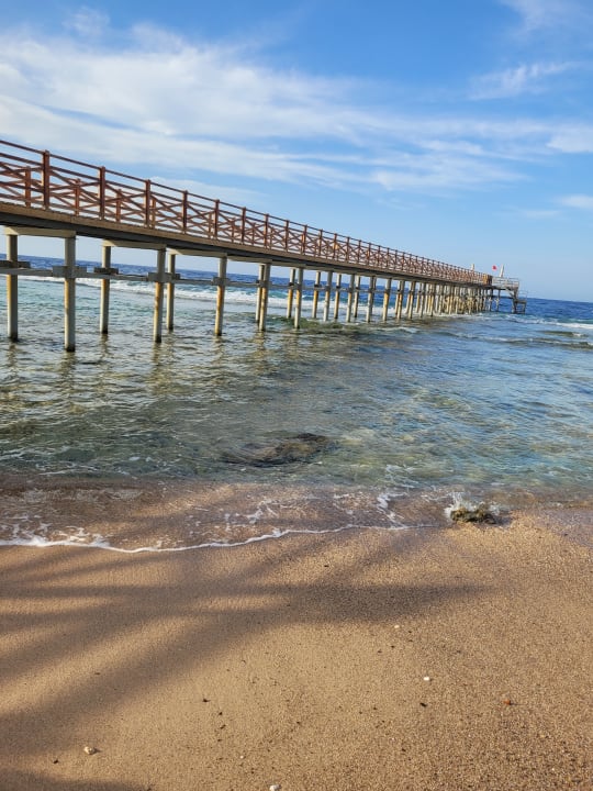 Strand Steigenberger Coraya Beach - Adults only