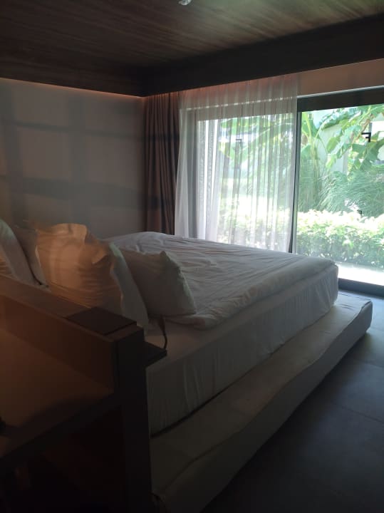 Zimmer Paloma Finesse