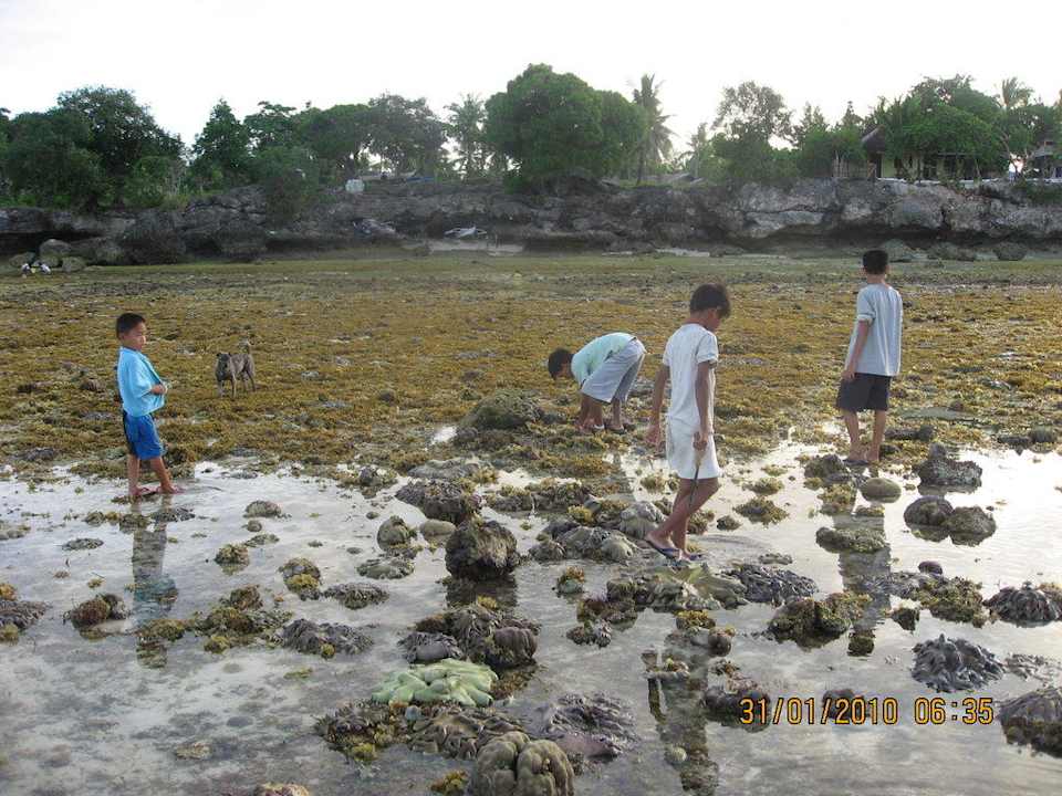 Einheimische sammeln alles was essbar ist Love's Lodge & Resort