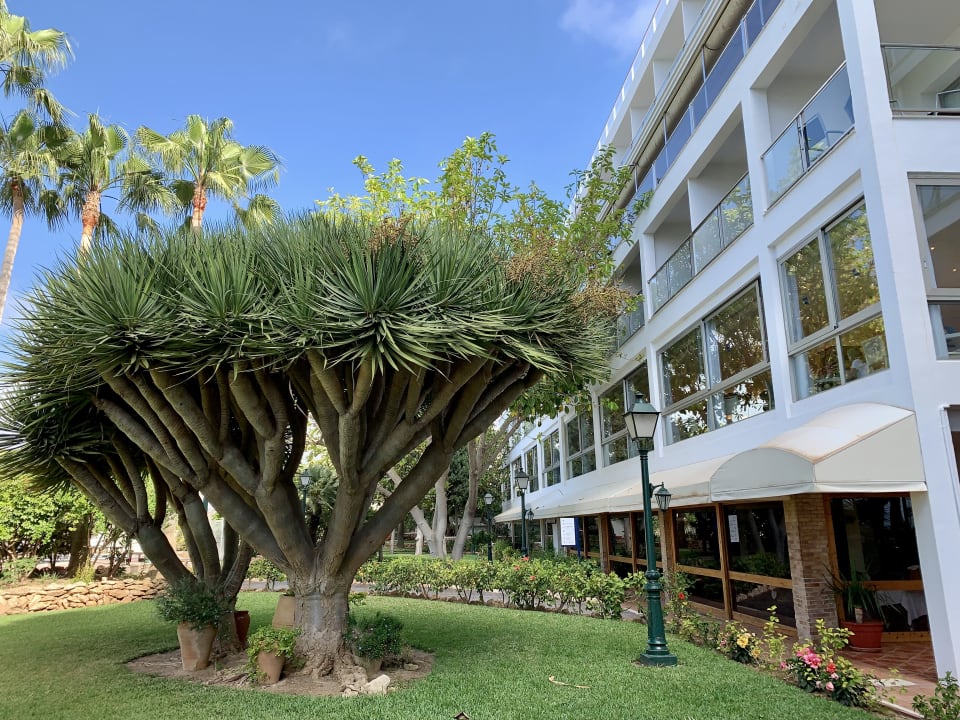 Gartenanlage THB Los Molinos - Adults only