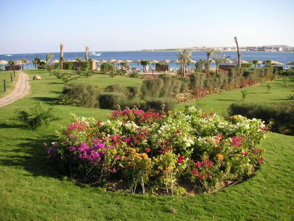 Gartenlandschaft Fort Arabesque Resort, Spa & Villas