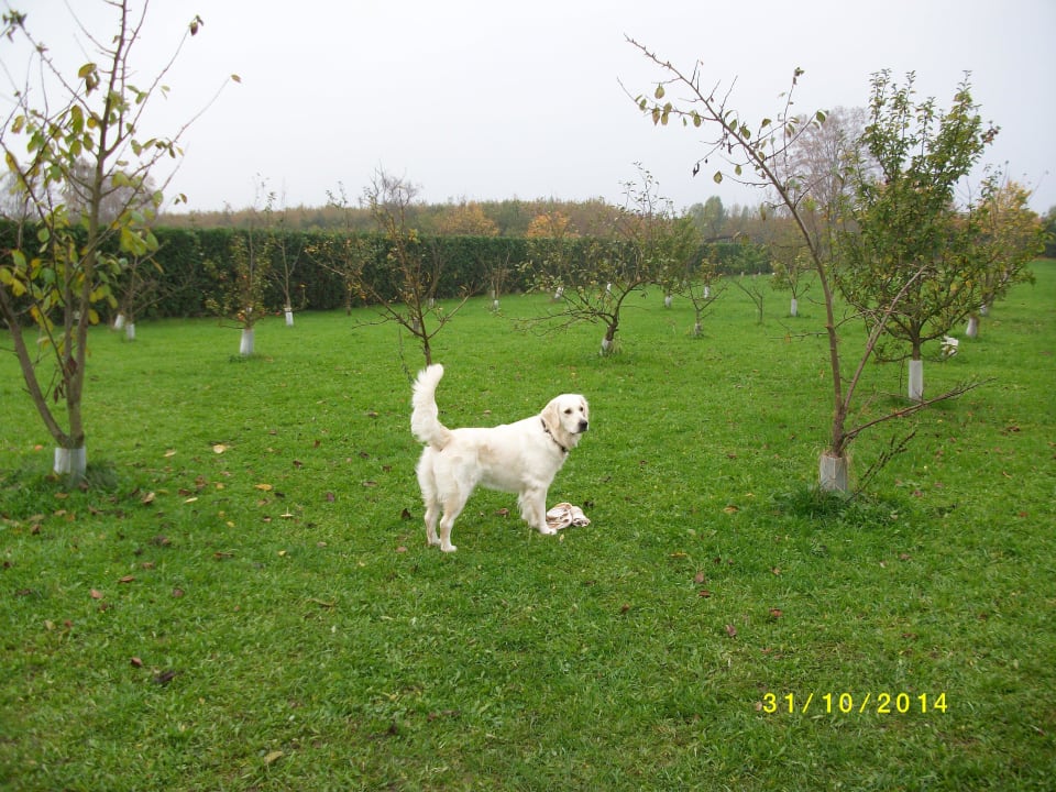 Hundepark Gutshof Sparow (Im Umbau/Renovierung)