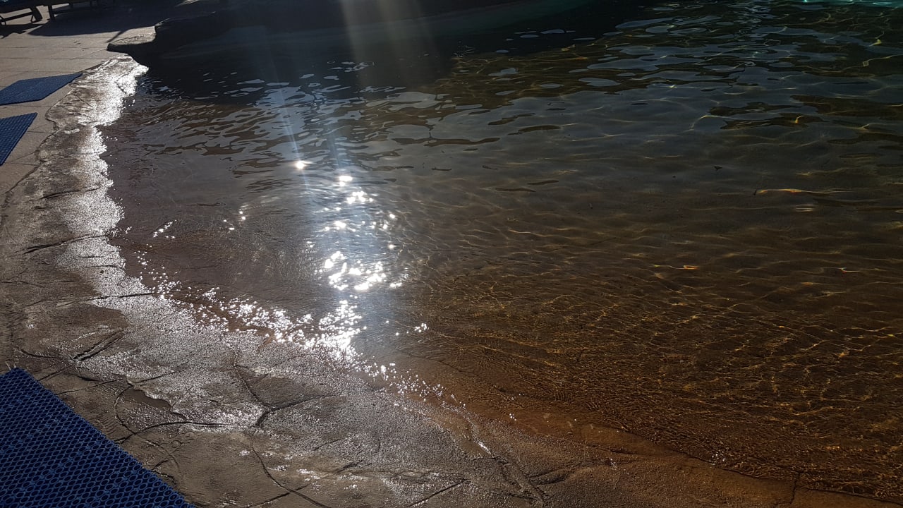 Pool Pickalbatros Aqua Park Resort - Hurghada
