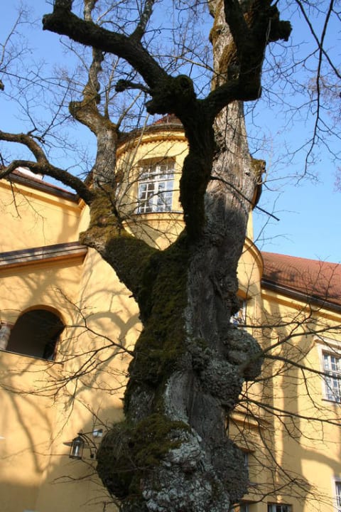 Innenhof Hoftaferne Neuburg