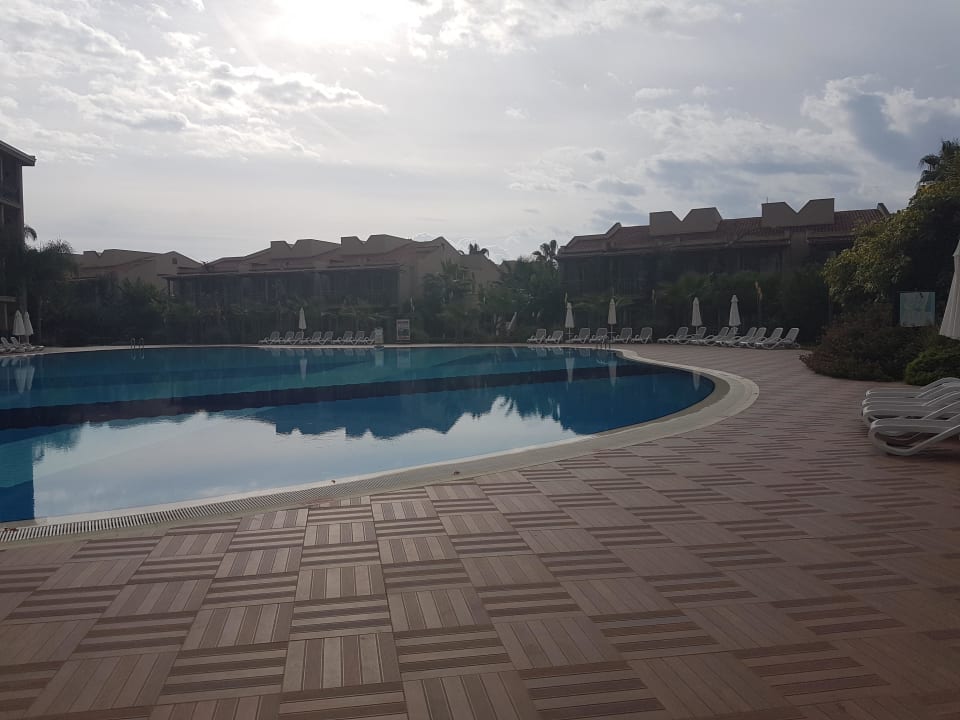 Pool Paloma Oceana