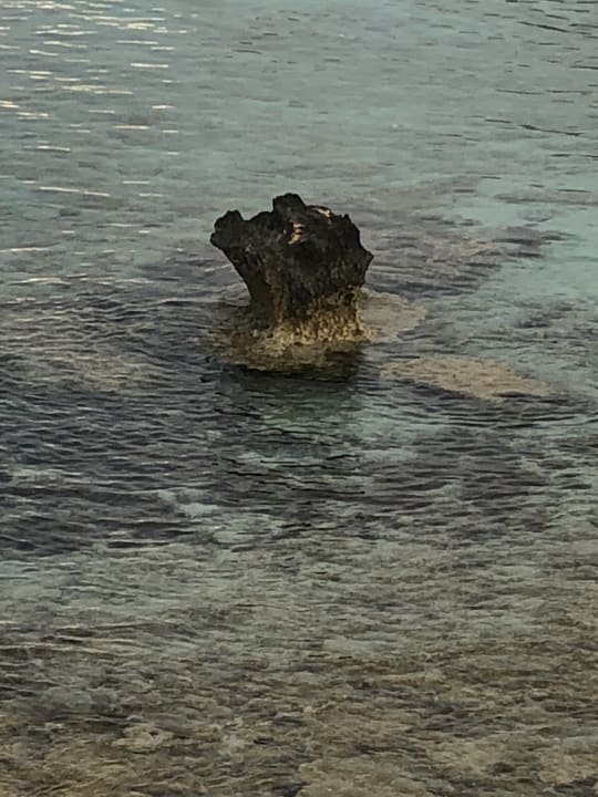 Felsen im Meer  Hotel Nissi Beach Resort