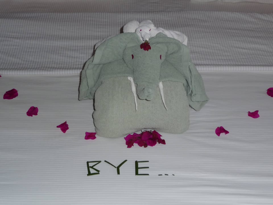 Roomboy war traurig bei Abreise Neptune Paradise Beach Resort & Spa