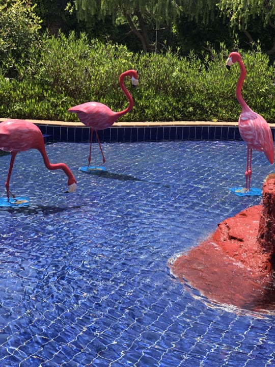 Gartenanlage Hotel Miracle Resort