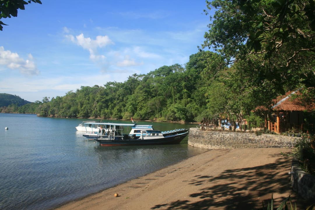 Strand mit Anlageplatz in Hintergrund Hotel NAD Lembeh Resort