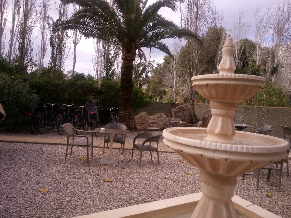 Gastro R2 Lago Playa Park