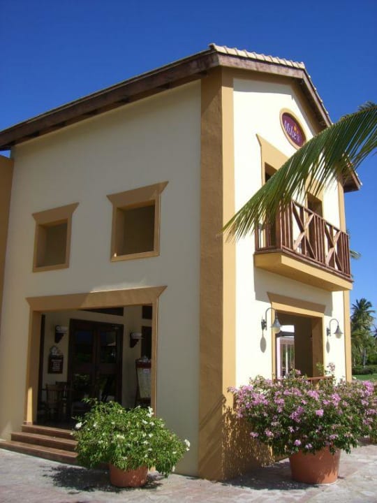 Coffee Shop - Mike's Coffee and Tea Ocean Blue & Sand