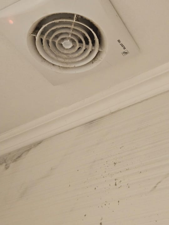 Zimmer Ibiscus Hotel Rhodos