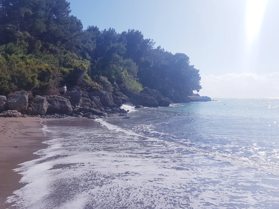 Strand Arycanda Kirman Premium