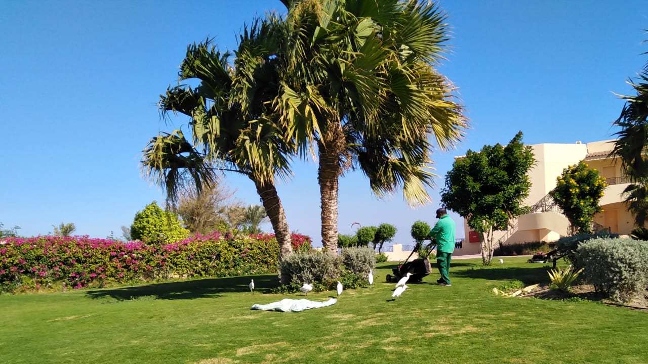 Gartenanlage Cleopatra Luxury Resort Makadi Bay