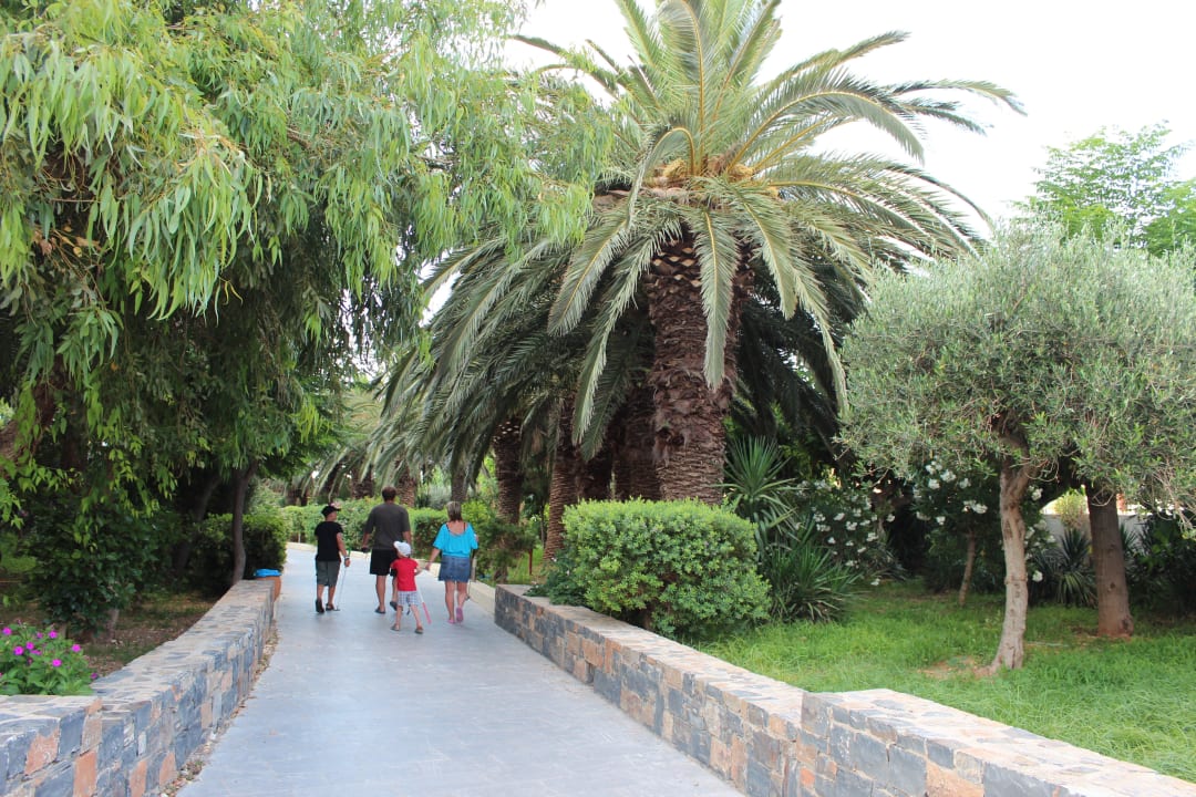 Weg zum Haupteingang Hotel Aphrodite Beach Club