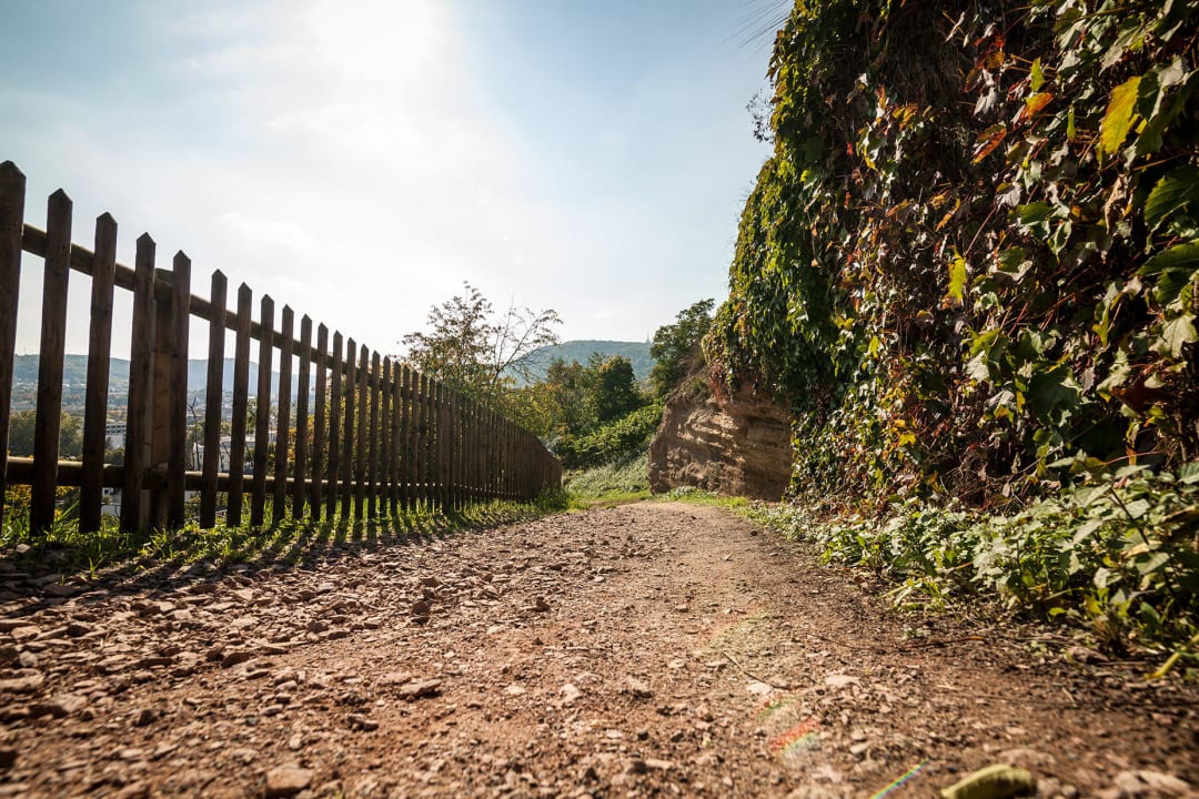 Panoramaweinwanderweg Kauzenburg