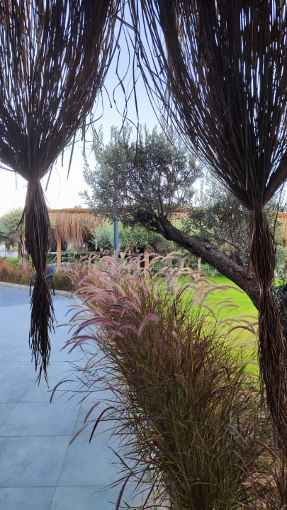 Außenansicht Dream Fun World