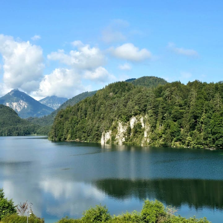 Ausblick AMERON Neuschwanstein Alpsee Resort & Spa