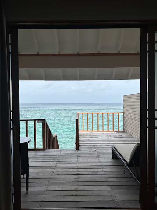 Zimmer Brennia Kottefaru