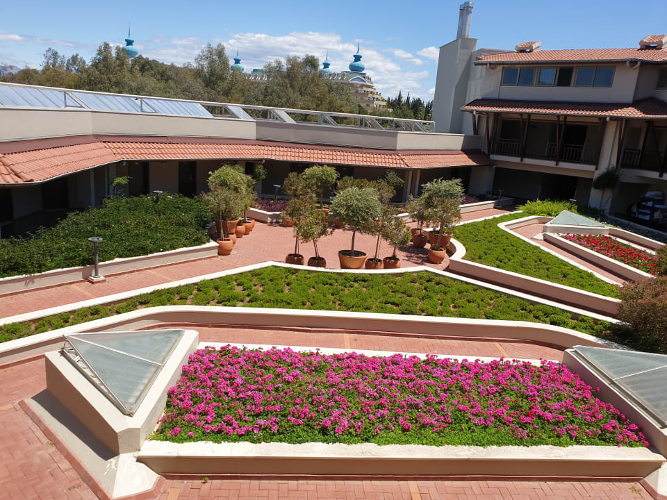 Garten Arum Barut Collection