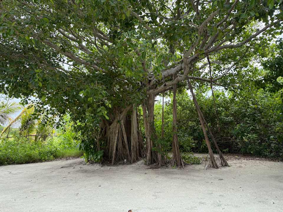 Gartenanlage Jawakara Islands Maldives