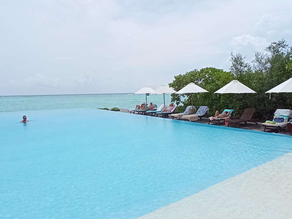 Pool Summer Island Maldives