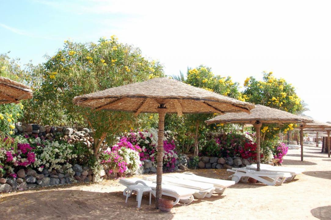 Strand v.Fort Arabesque Makadi Bay Fort Arabesque Resort, Spa & Villas