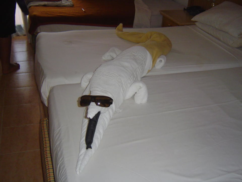 Krokodil  Pickalbatros Aqua Park Resort - Hurghada