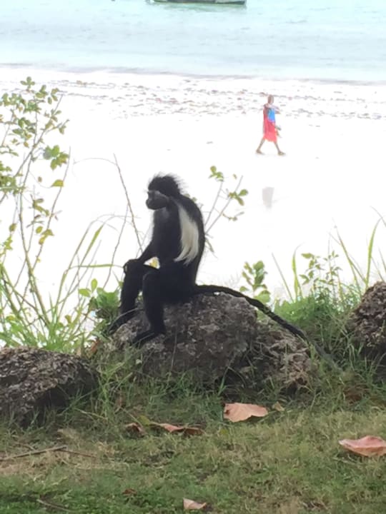 Baobab Beach Resort Baobab Beach Resort & Spa