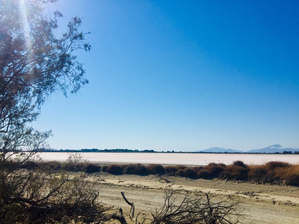 Ausblick Sentido Pearl Beach Kos – Adults only