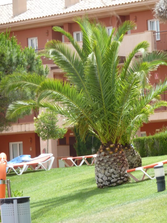 Garten Ilunion Sancti Petri