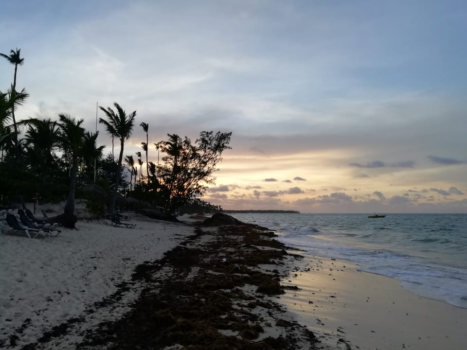 Strand Grand Palladium Punta Cana Resort & Spa