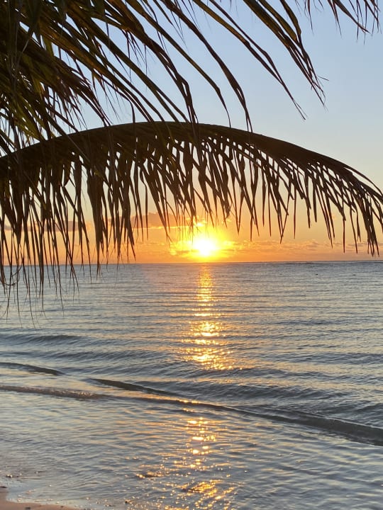 Strand Akumal Bay Beach & Wellness Resort