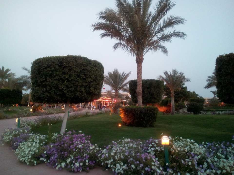 Gartenanlage Desert Rose