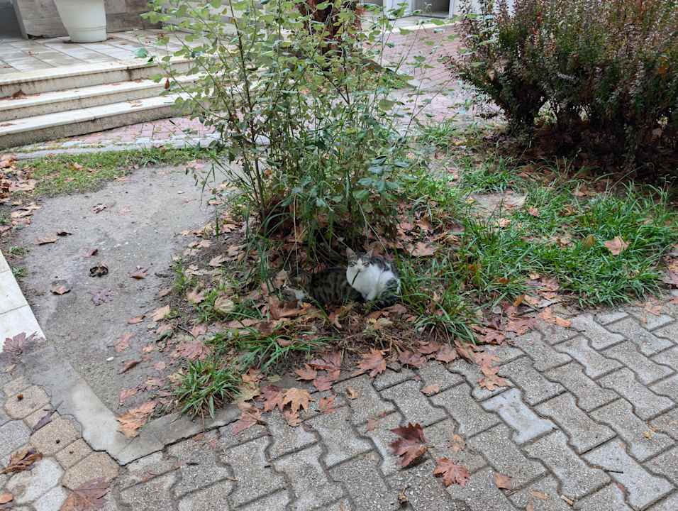 Gartenanlage Olympian Bay Grand Resort