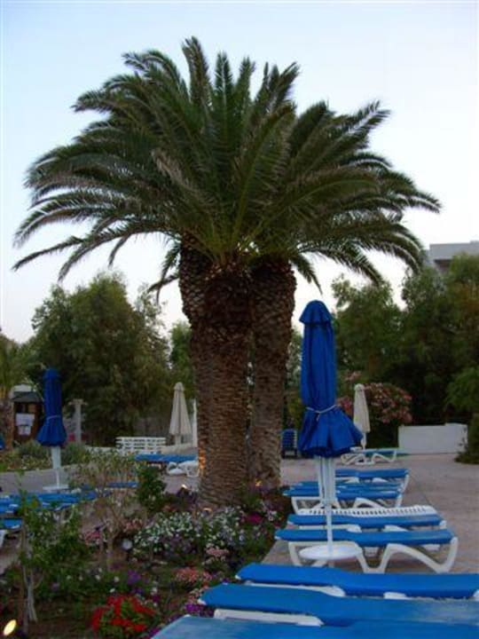 Leżaczki przy basenach Esperides Beach Resort