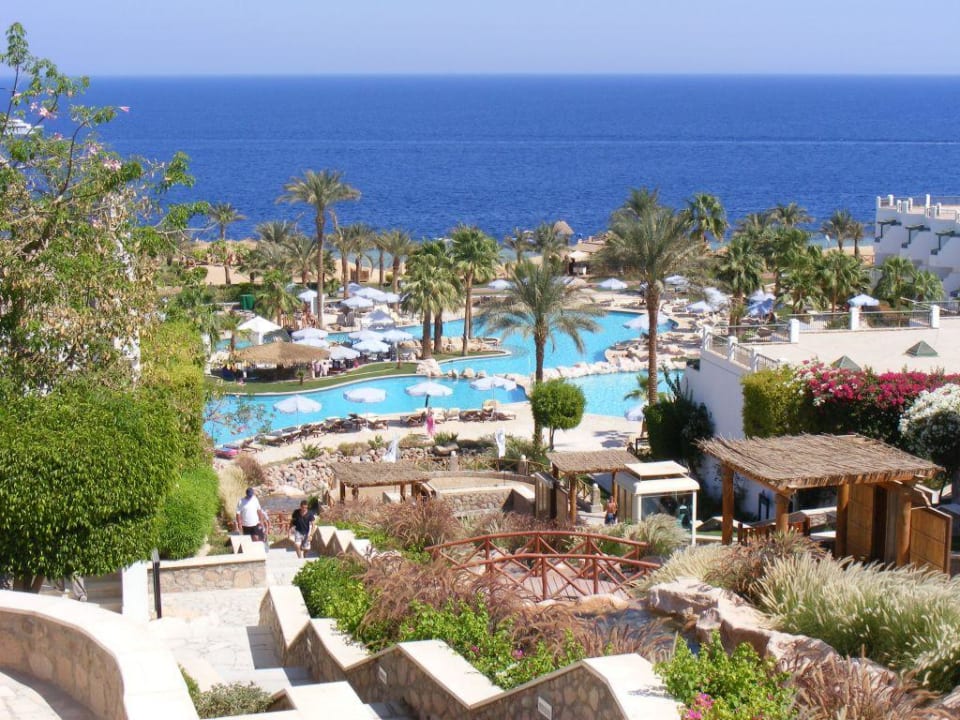 Waterfalls ogród Safir Sharm Waterfalls Resort