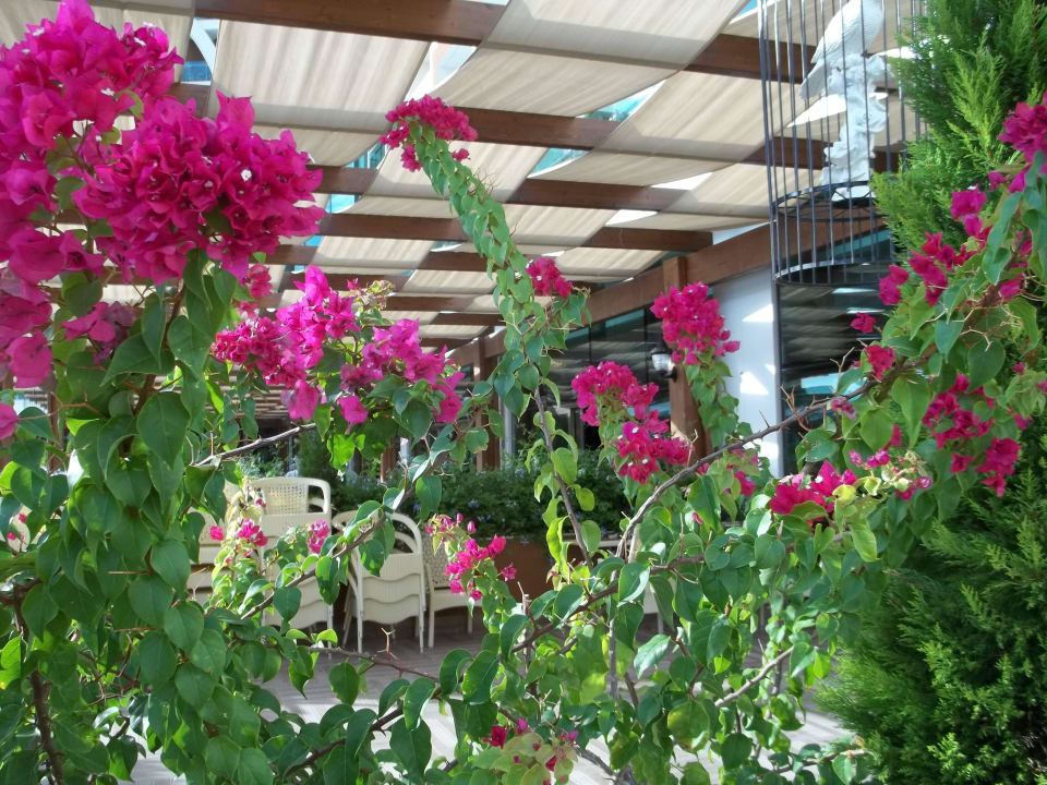 Bar Alan Xafira Deluxe Resort & Spa