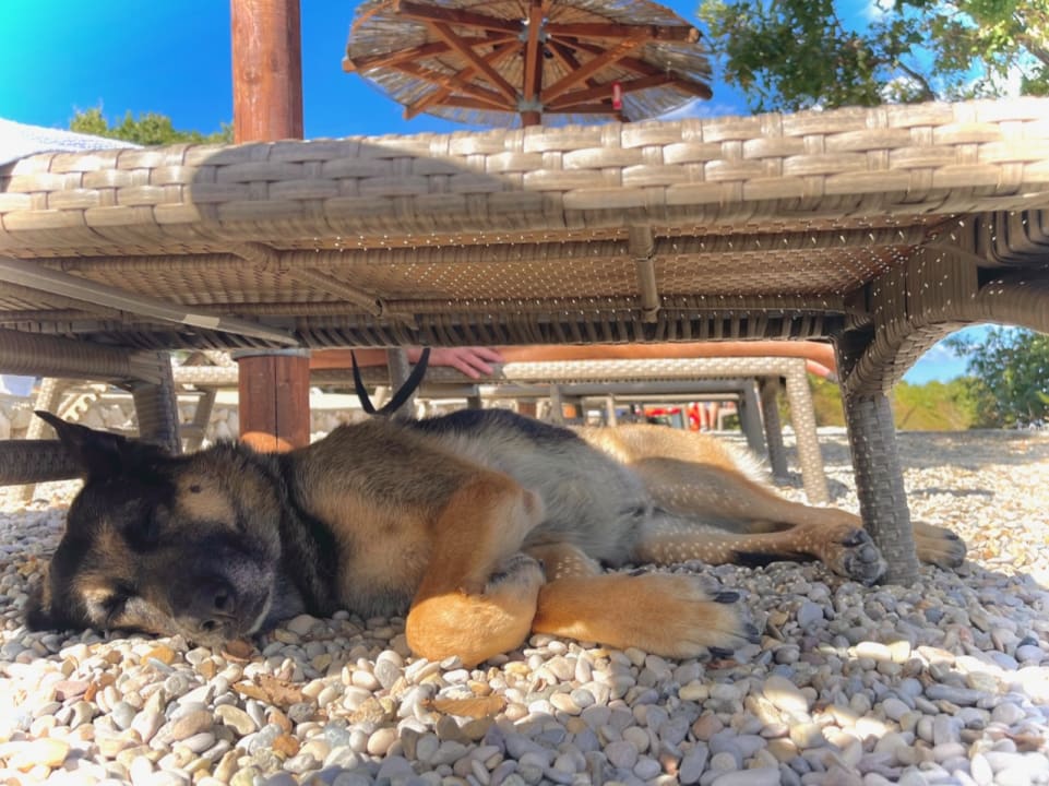 Sonstiges Valamar Sanfior Hotel & Casa