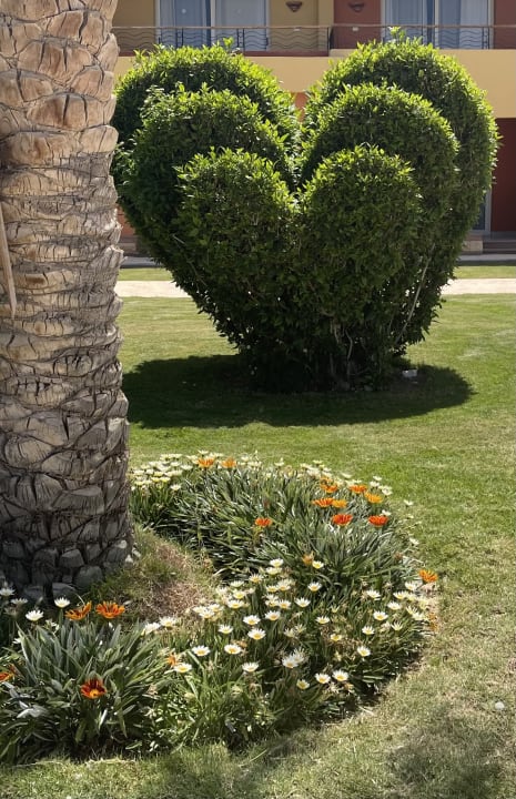 Gartenanlage Malikia Resort Abu Dabbab