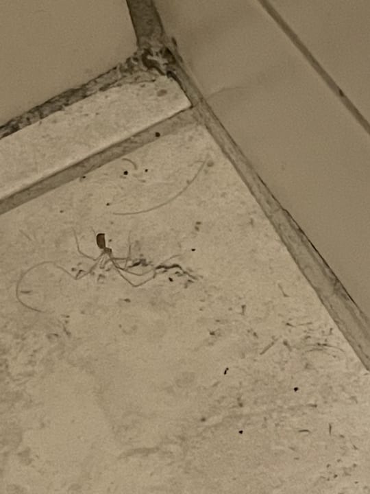 Zimmer Hotel Gremersdorf - Zum grünen Jäger