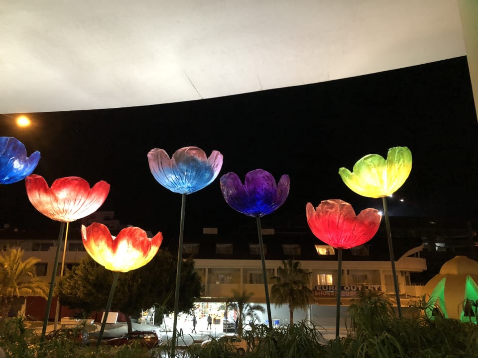 Außenansicht Side Alegria Hotel & Spa - Adults only +16