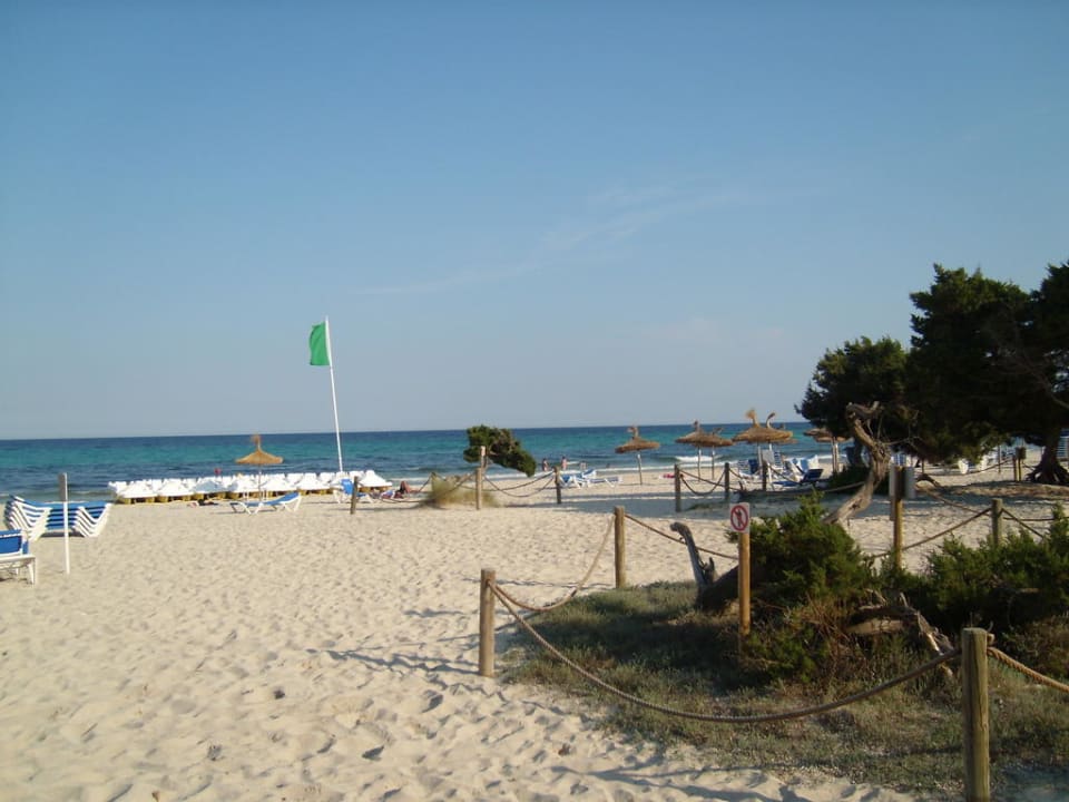 Strand von Sa Coma allsun App.-Hotel Orient Beach