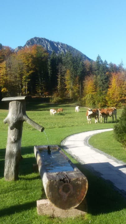 Gartenanlage Alm- & Wellnesshotel Alpenhof