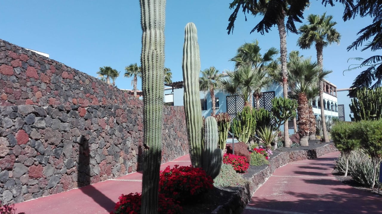 Schöne, gepflegte Anlage Occidental Jandía Royal Level - Adults only