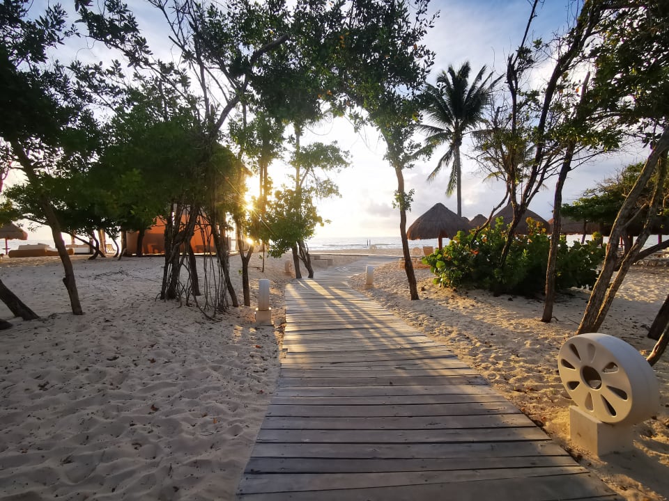 Strand Iberostar Waves Paraiso Beach