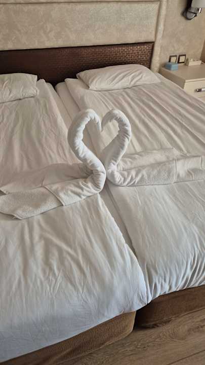 Zimmer Hotel Defne Garden